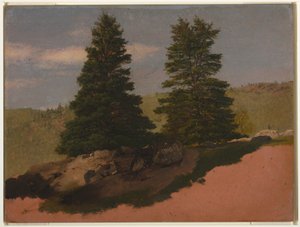 Çizim, New England Manzarası (İki Çam Ağacı), 1850 by Frederic Edwin Church