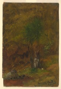  by Frederic Edwin Church