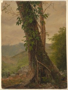  by Frederic Edwin Church