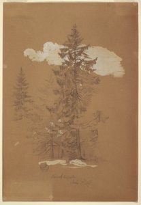Çizim, Ağaçlar, Berchtesgaden, Bavyera, 3 Temmuz 1868 by Frederic Edwin Church
