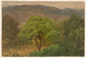 Dağlarda Genip Ağacı, Jamaika by Frederic Edwin Church