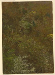 Ağaçlar, Jamaika ile Hillside by Frederic Edwin Church