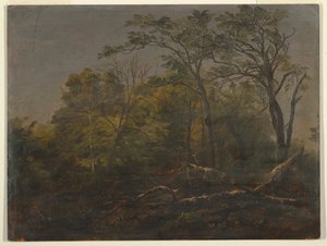 Maine Ormanı by Frederic Edwin Church