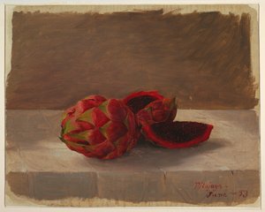 Pitahaya Fruta, Kolombiya by Frederic Edwin Church