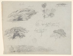 Ağaçlar, Ağaç Tepeleri ve Ormanlık Bir Banka, Saddleback, Maine by Frederic Edwin Church