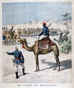 Meharist ceset, 1894