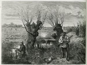 Tavşan avla. Charles Grad tarafından 1884
