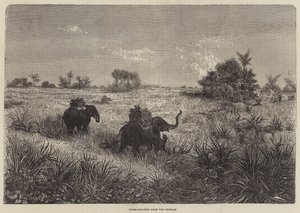 Hindistan ve Galler Prensi, Howdah