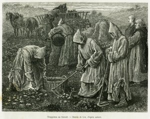 Trappistler iş başında. A travers l