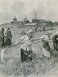 Novgorod