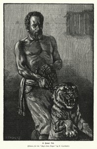 Bir Queer Evcil Hayvan (gravür) by Frederick (after) Calvert