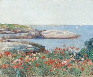 Poppies, Shoals Adaları, 1891.