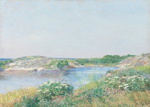 Küçük Gölet, Appledore, 1890.