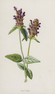Kendi Kendini İyileştirme (chromolitho) by Frederick Edward Hulme