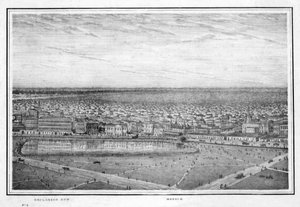 Esplanade Row ve cami, Kalküta panoraması, Hindistan, c1840