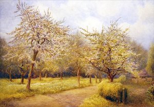 Blossom