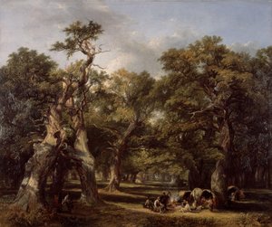 Bir Orman Kayranı, Arden, Warwickshire, 1845.