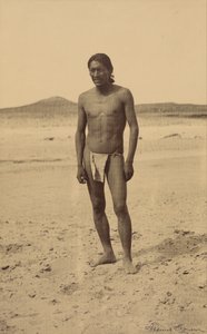  by Frederick I. Monsen