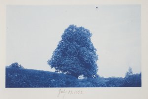 İsimsiz, 19 Temmuz by Frederick K. Coulson