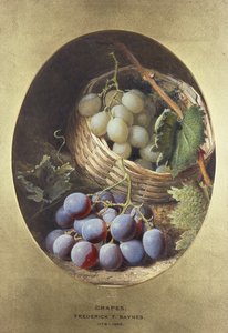 Kırmızı ve Beyaz Üzüm by Frederick Thomas Baynes