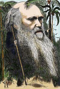 Charles DARWIN (1809-1882) 1873 tarihli “Haftada Bir Kez” filminde F. Waddy