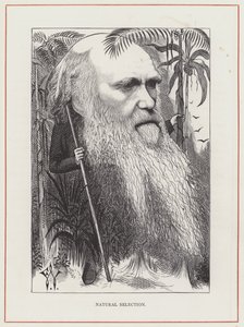 Charles Darwin, Doğal Seleksiyon