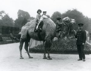 Londra Hayvanat Bahçesi