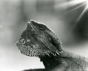 1930