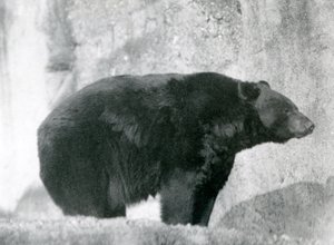 1924