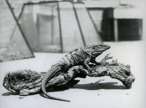 Ağustos 1928
