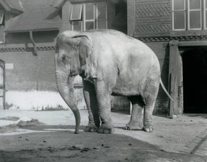 1929