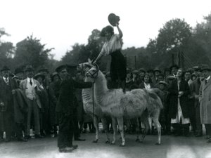 Bir Cowgirl, 1924