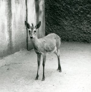 Ağustos 1927