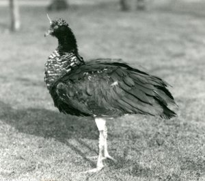 Eylül 1927