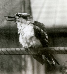 Ekim 1924