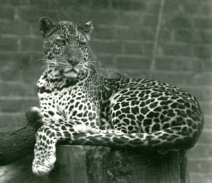 1924