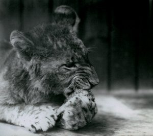 1927