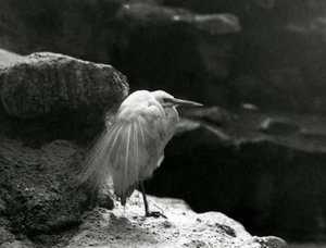 1930