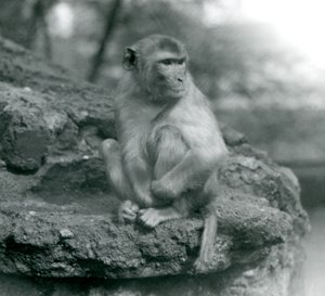 1924