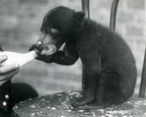 1920