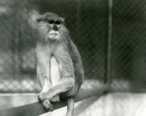 1928