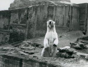 Eylül 1928