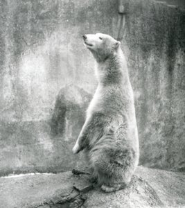 1929