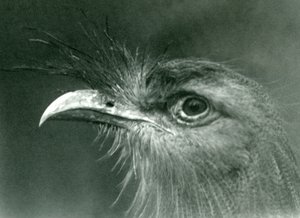 1924