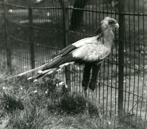 Eylül 1923