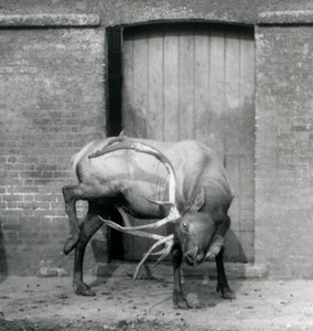 Eylül 1927