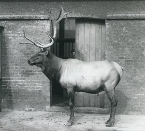 Eylül 1927