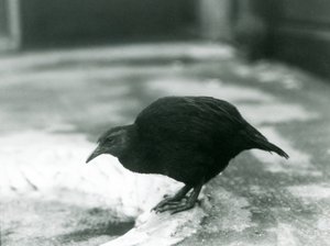 1927