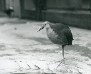 Eylül 1927