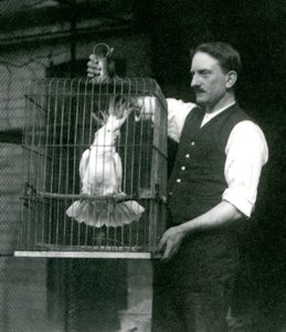 Bir bekçi, Ekim 1924